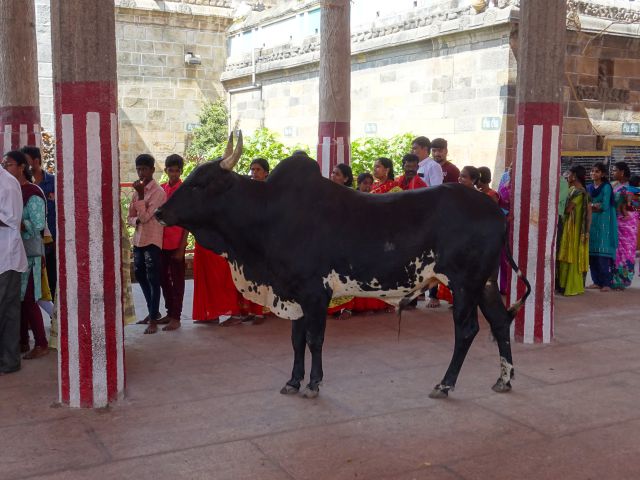 Chidambaram
